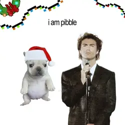 @dayblo I AM PIBBLE