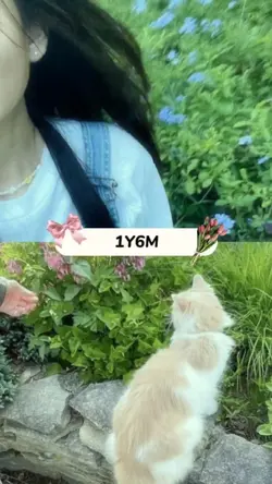 1Y6M