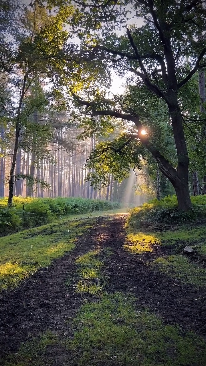 Nature vibes