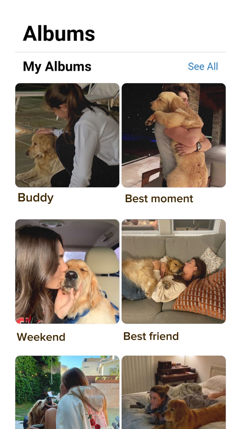 dog birthday