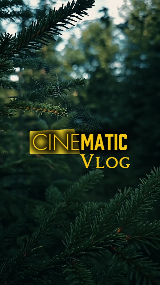 Cinematic Vlog 