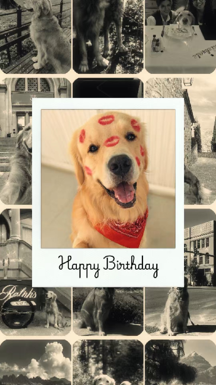 Happy birthday dog