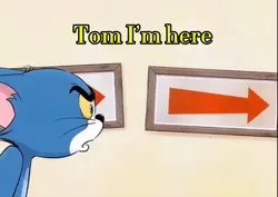 Tom and Jerry 