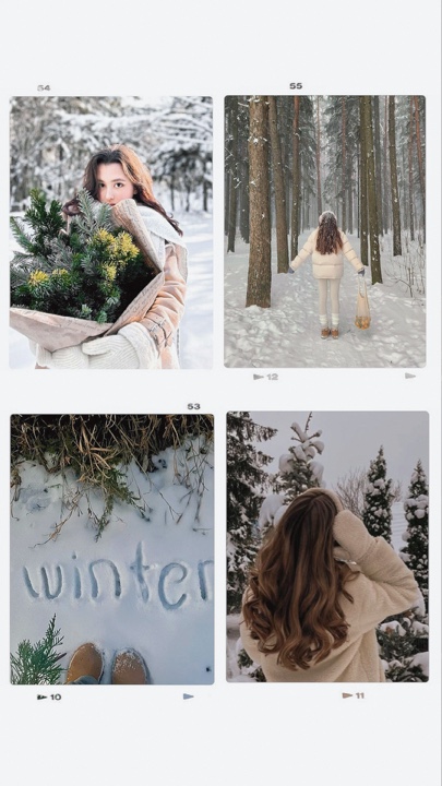 Collage de invierno