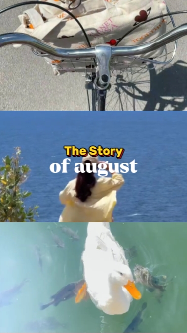 La historia de agosto