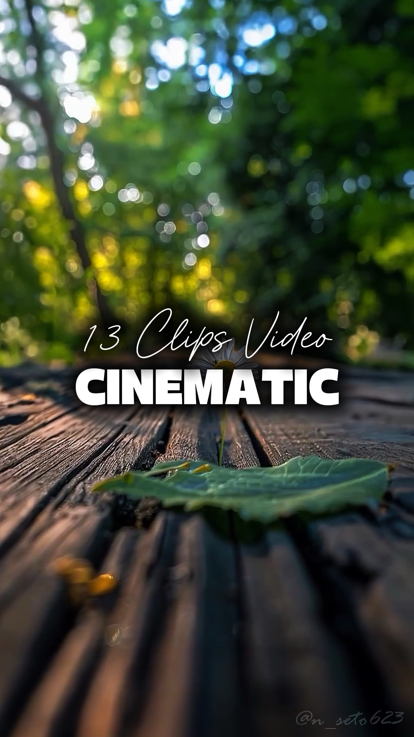 13 Vidéos Cinématiques 