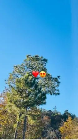 😍