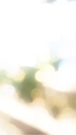 観葉植物にはこれ!
