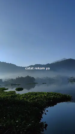 Subsidi gratis