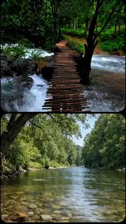karadeniz şablonn