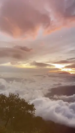 Slow motion 1 Video