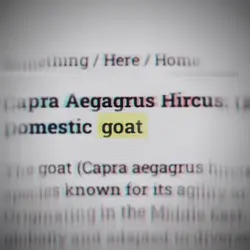 Your Goat Try This