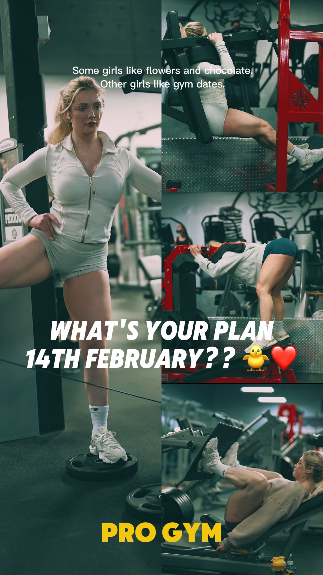 PRO GYM | VALENTINE 