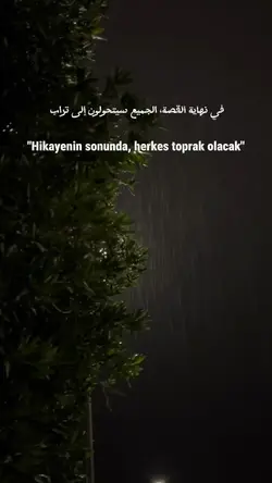 şablon