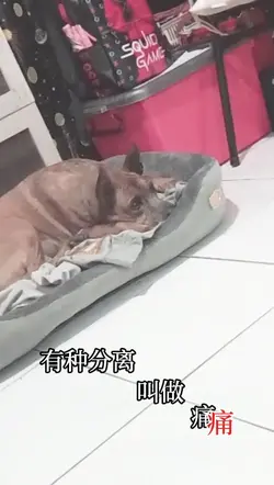 有種分離叫做痛我要穩穩的幸福