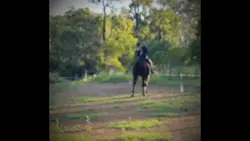 almost sidepassed