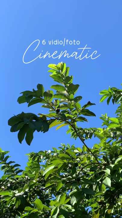 Cinematic 6 vidio