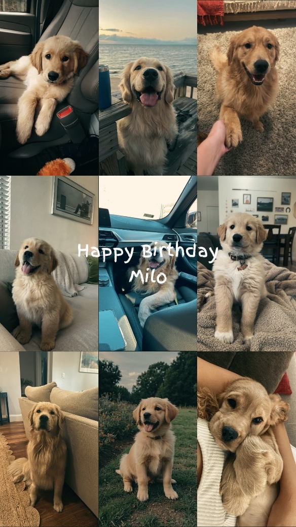 Happy Birthday Milo