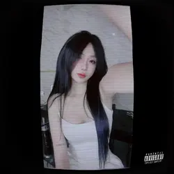 1 PIC
