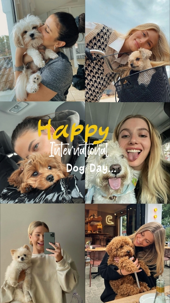 Intern Dog Day
