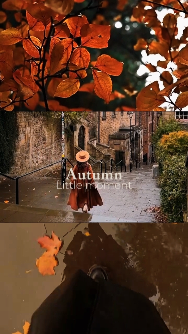 Petit moment d'automne