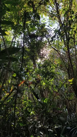 NATURE COLOR