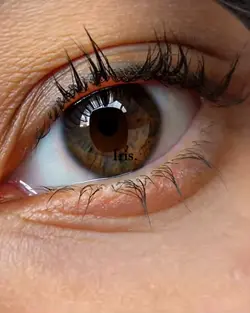 Eye Zoom 