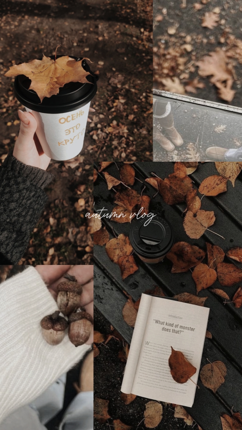 autumn vlog