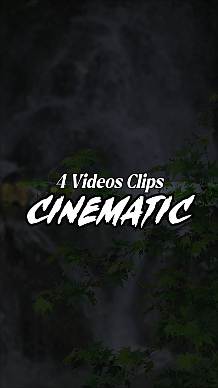 4 Videos Clips