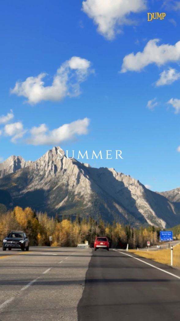 Summer Dump
