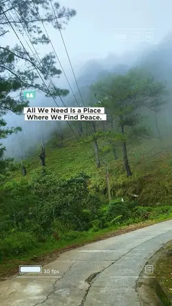 PEACE IN NATURE 