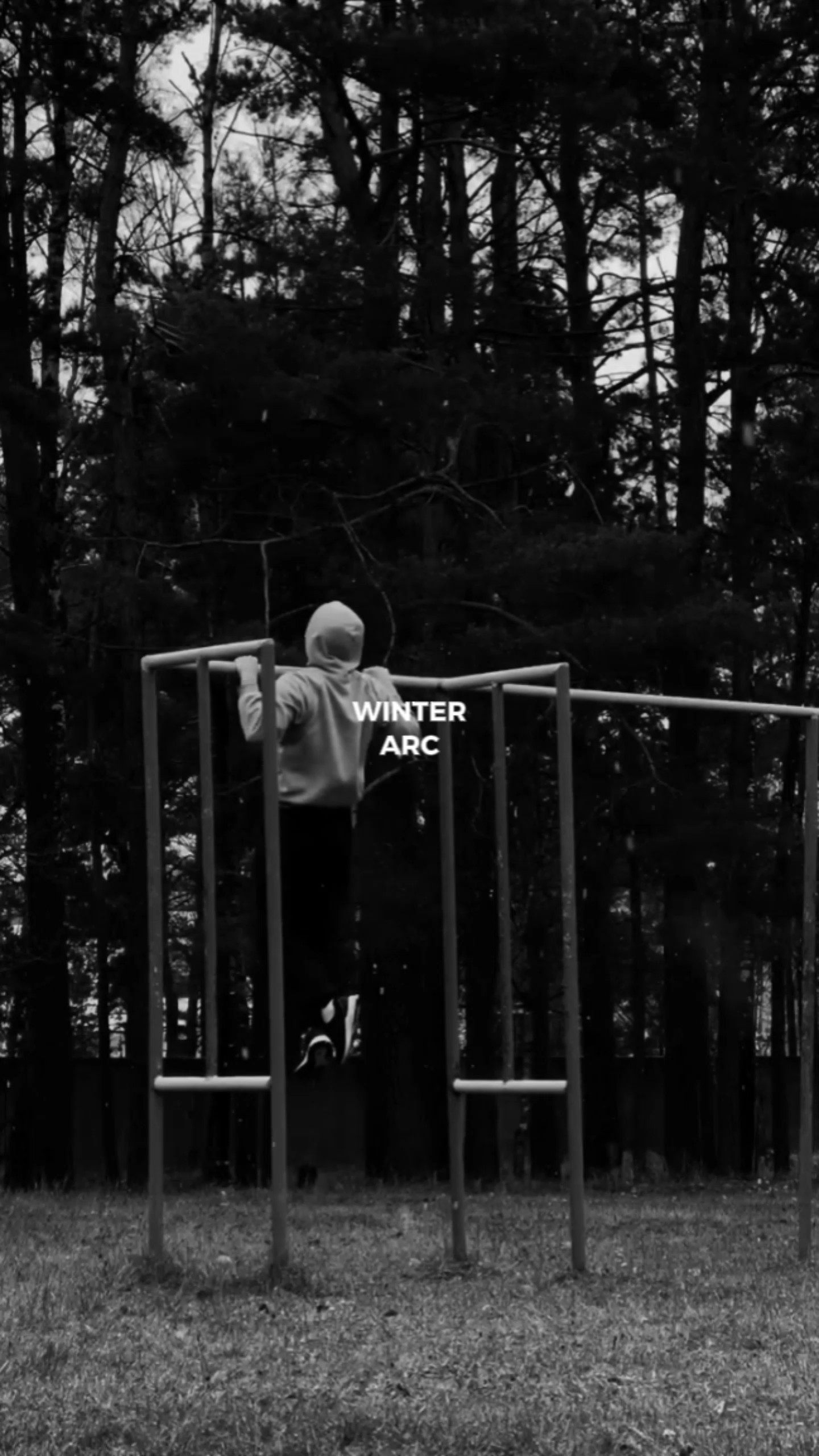 it's winter arc