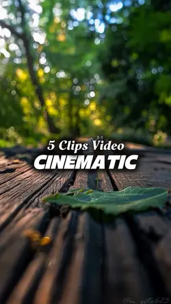 5 CLIPS VIDEO