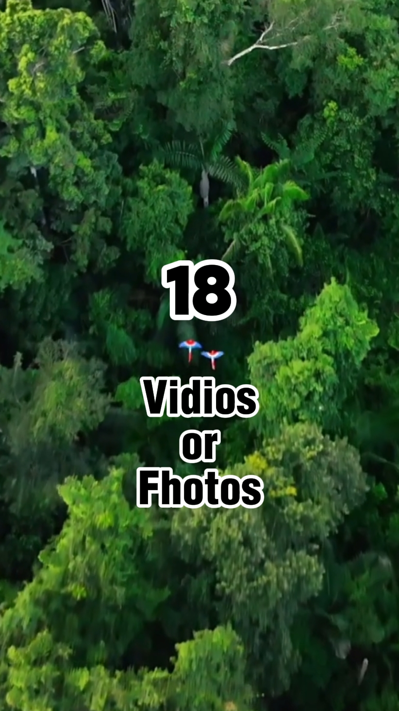 Aventura na Natureza