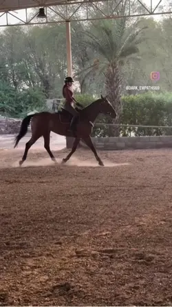 Horse fail💕