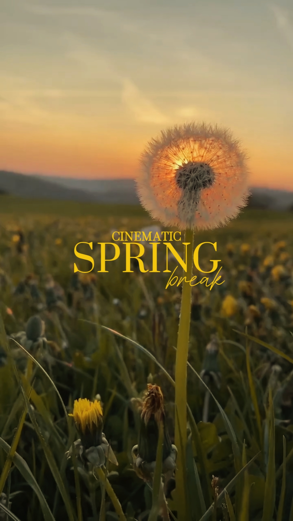 Primavera cinematográfica 