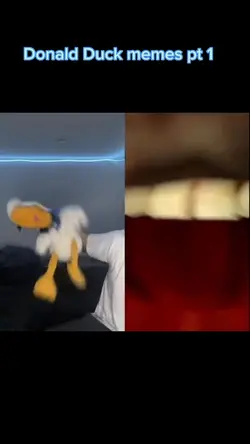 Donald pt 1