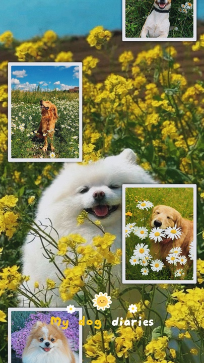 MY DOG STORY