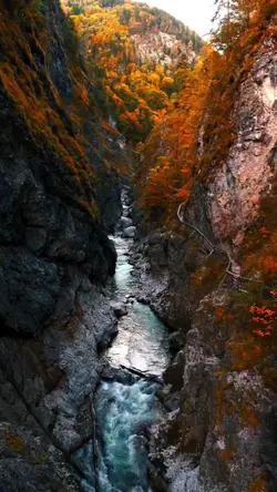 autumn