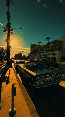 5 video clips