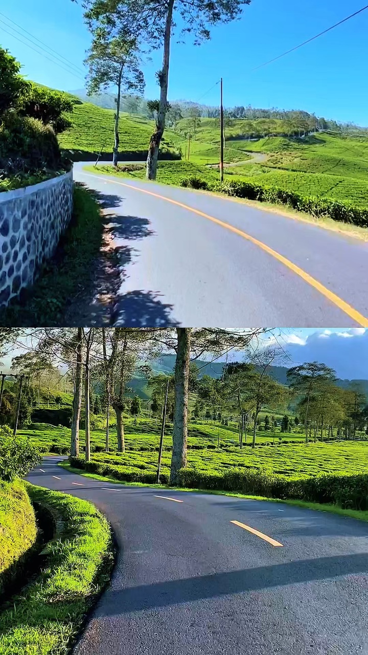 2 collages vidéo