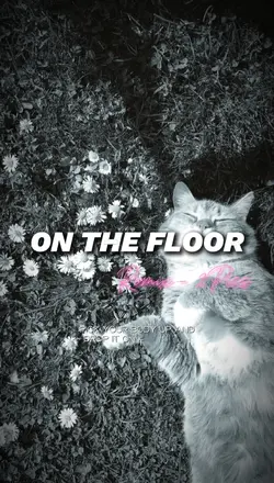 ON THE FLOOR