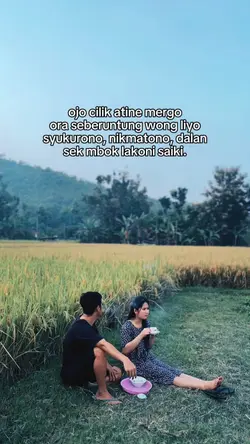 STORY WA