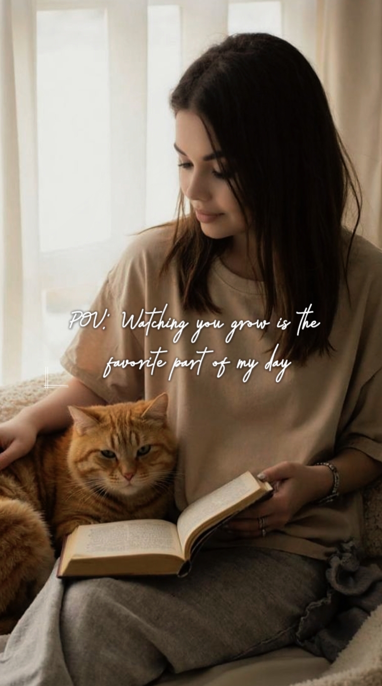 Amor gato
