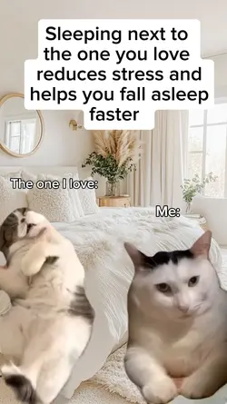 meme