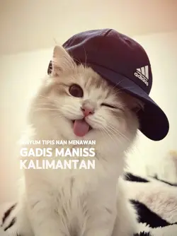 3:4 gadis manis 