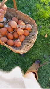 Farm life