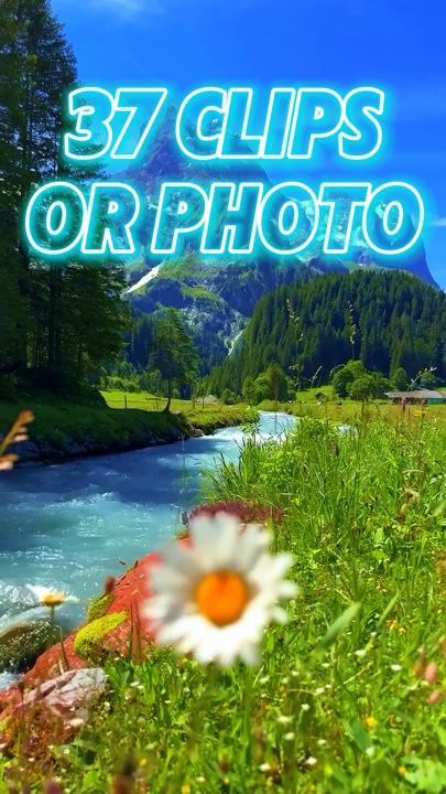 37 clips or photo 
