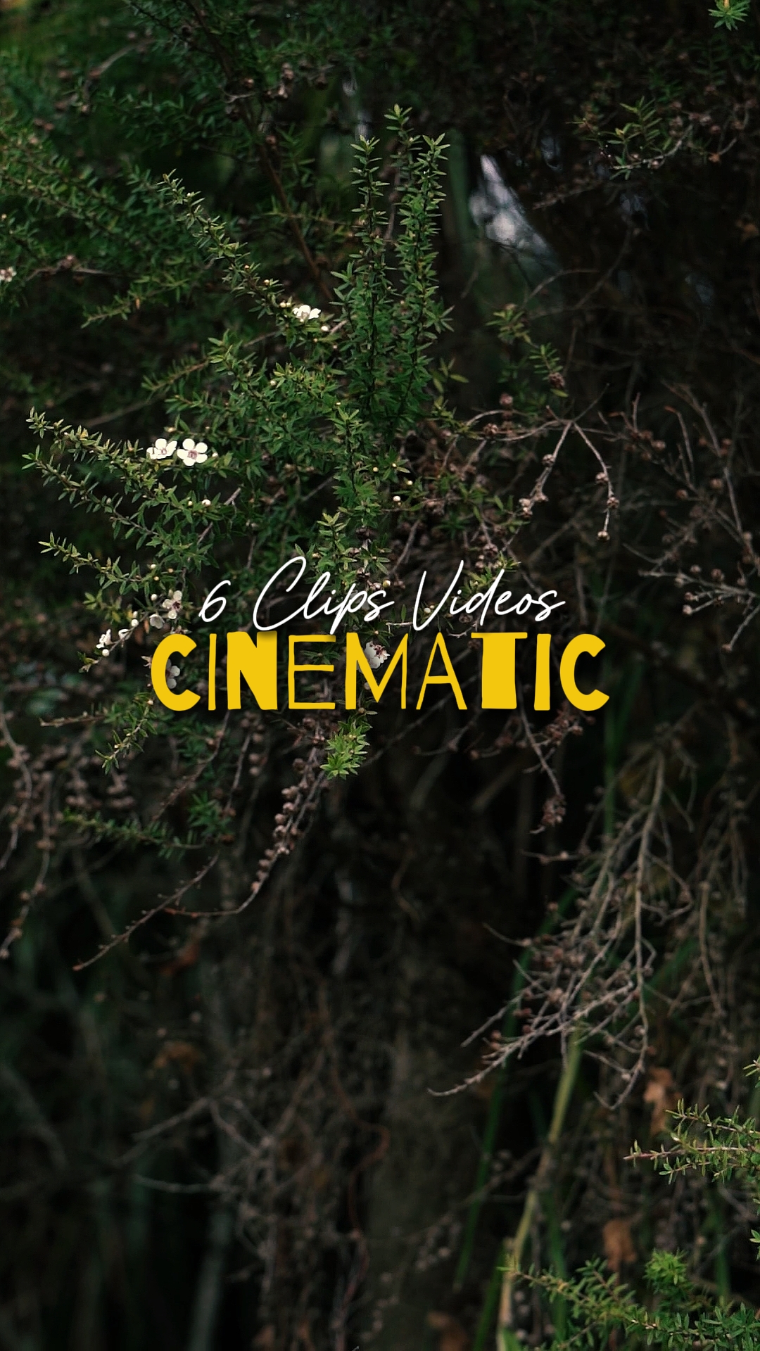 Cinematic 6 Videos