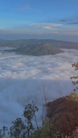 Sang Hyang Dedari